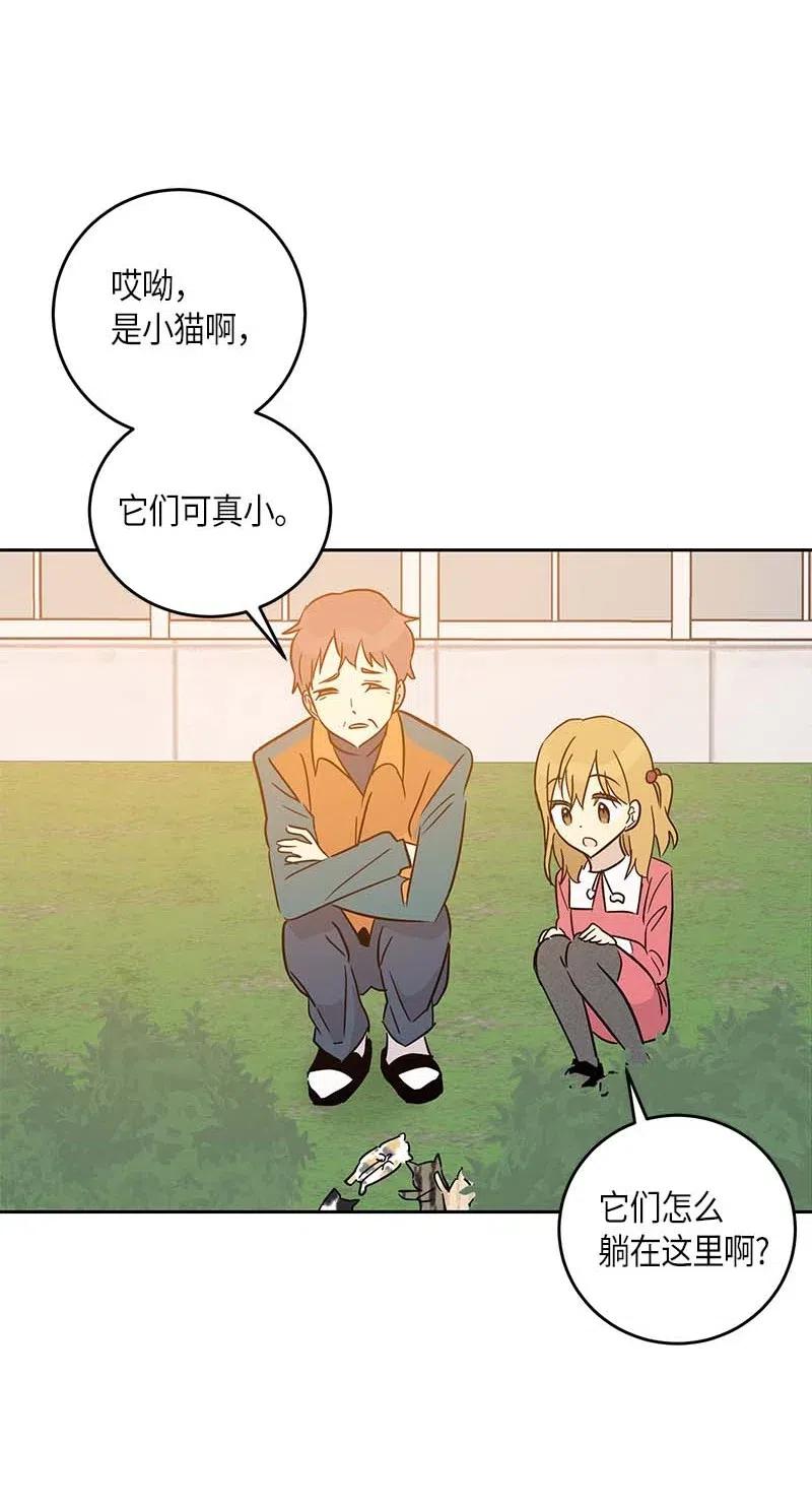 52 添新成员1