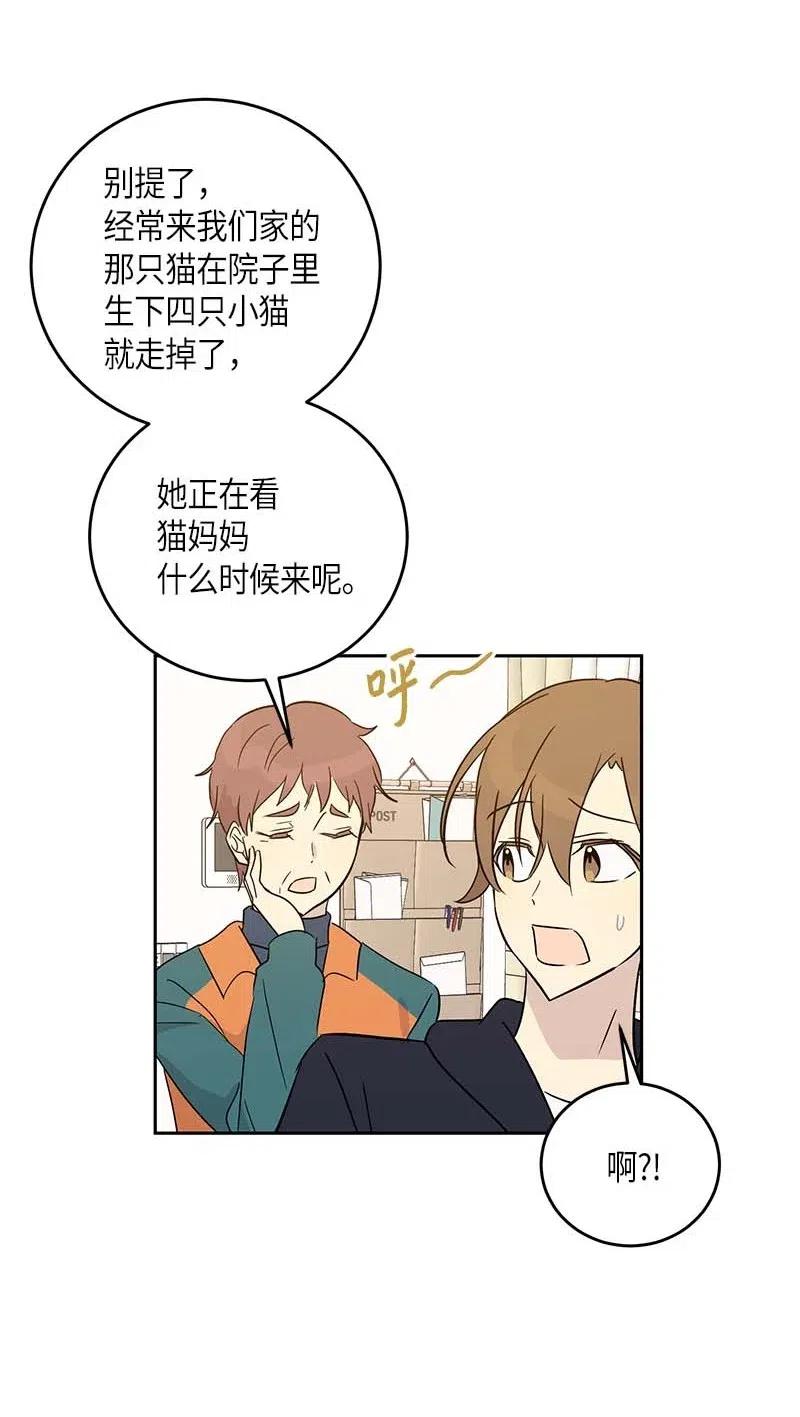 52 添新成员14