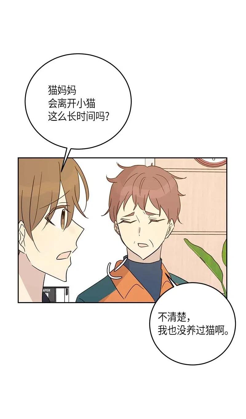52 添新成员19