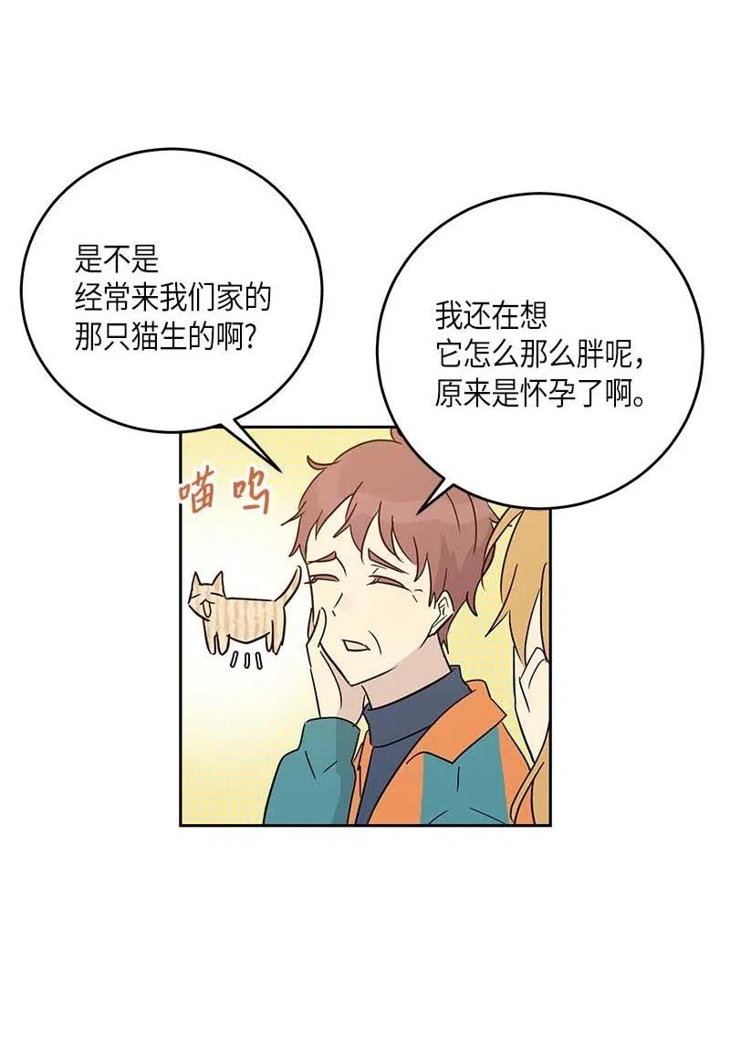 52 添新成员2