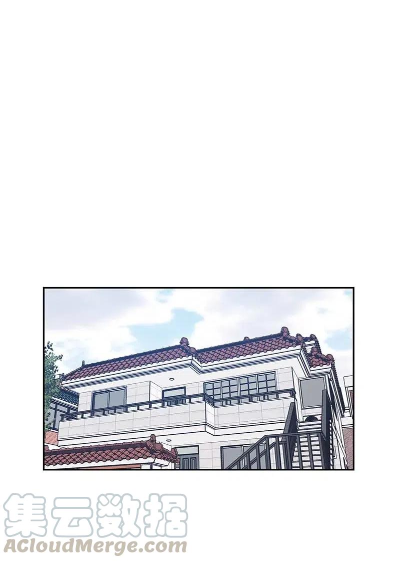 52 添新成员21
