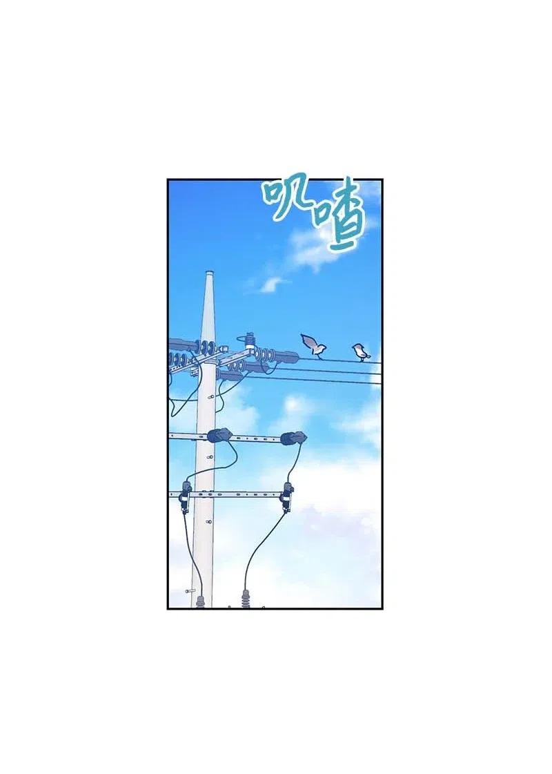 52 添新成员22