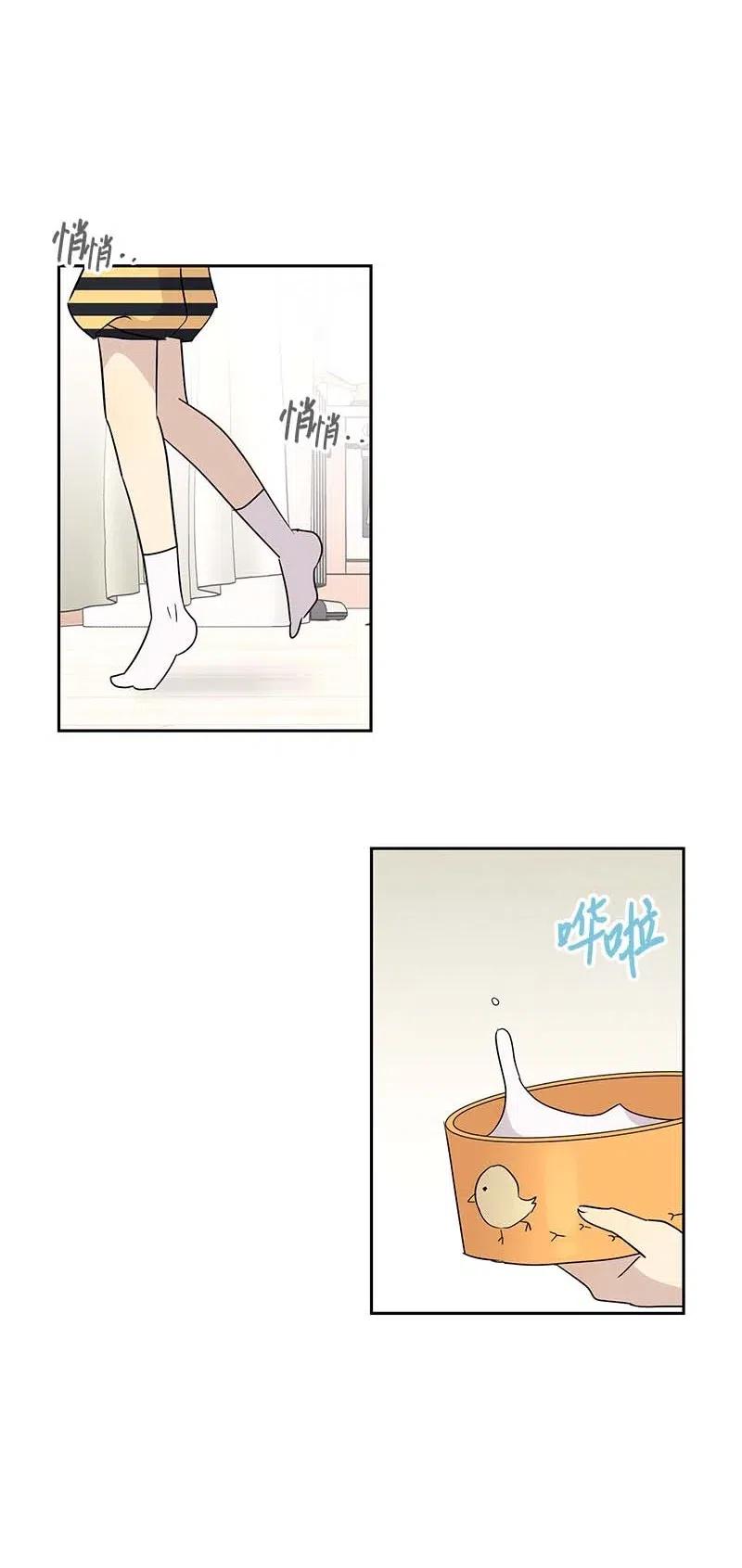52 添新成员23