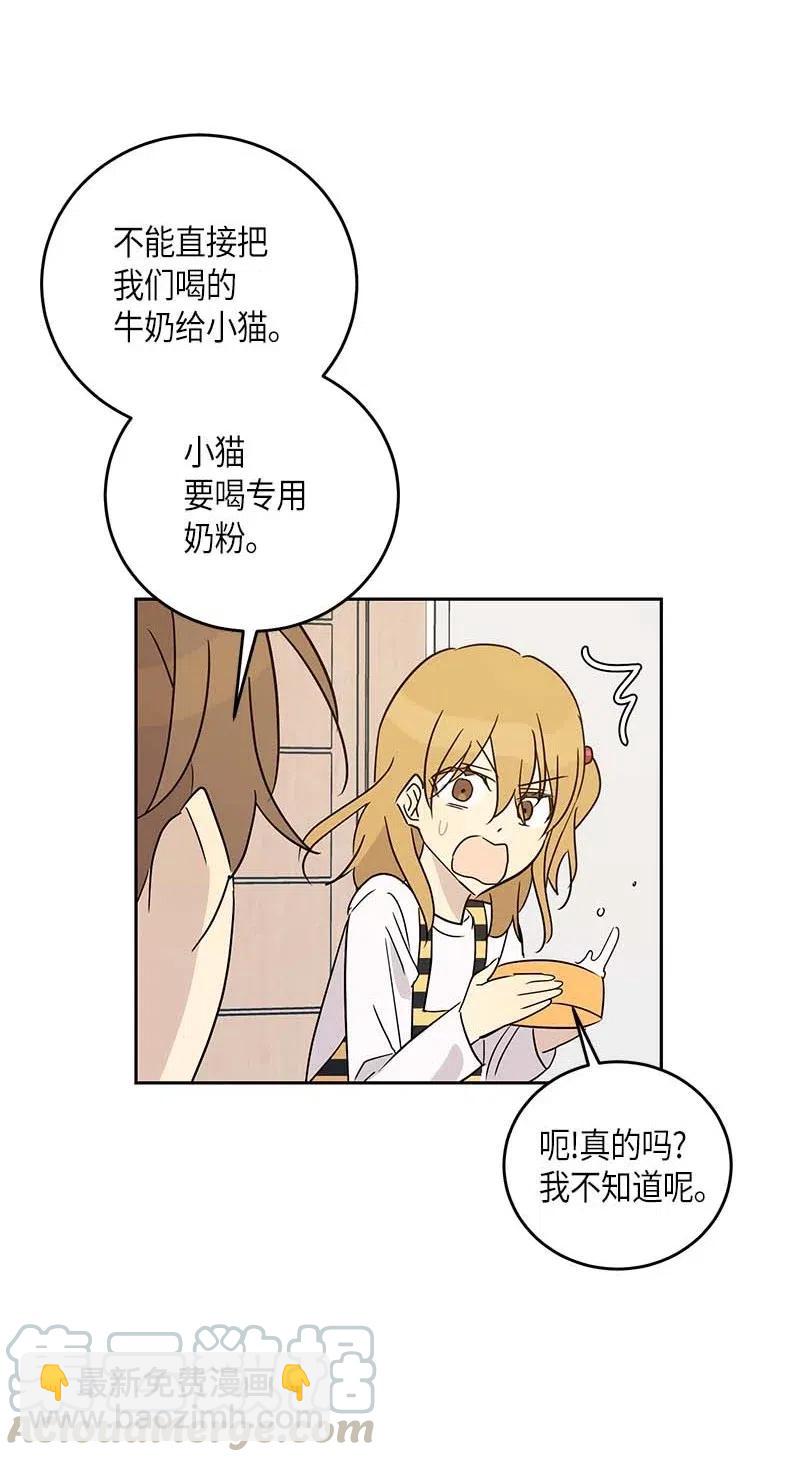 52 添新成员27