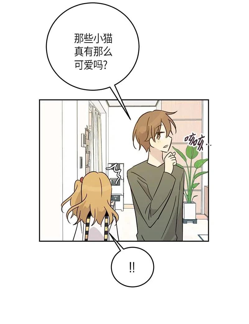 52 添新成员29