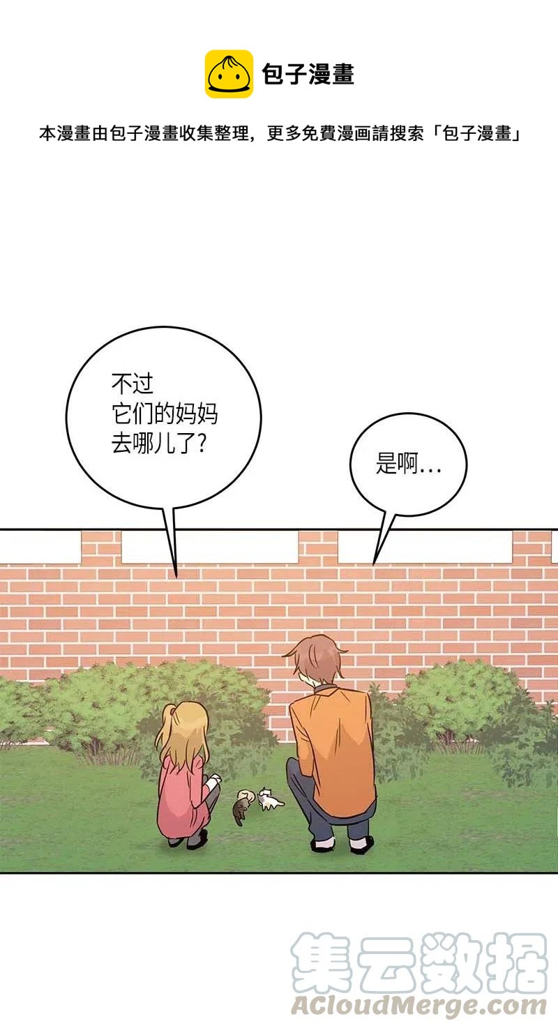 52 添新成员3