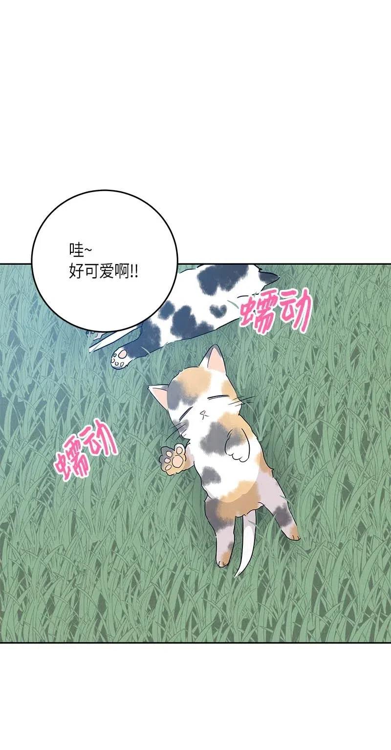 52 添新成员31