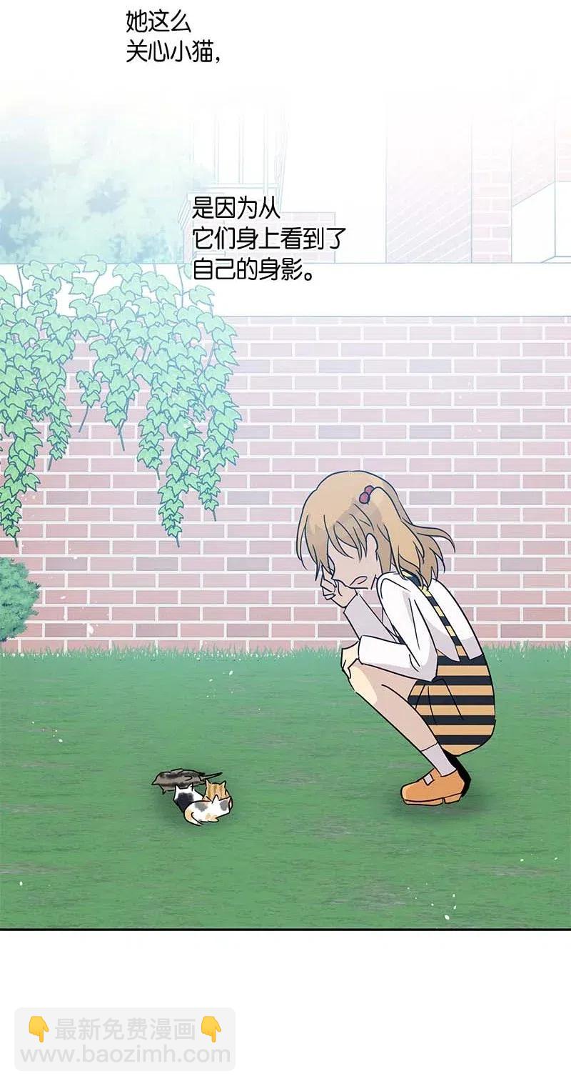 52 添新成员38