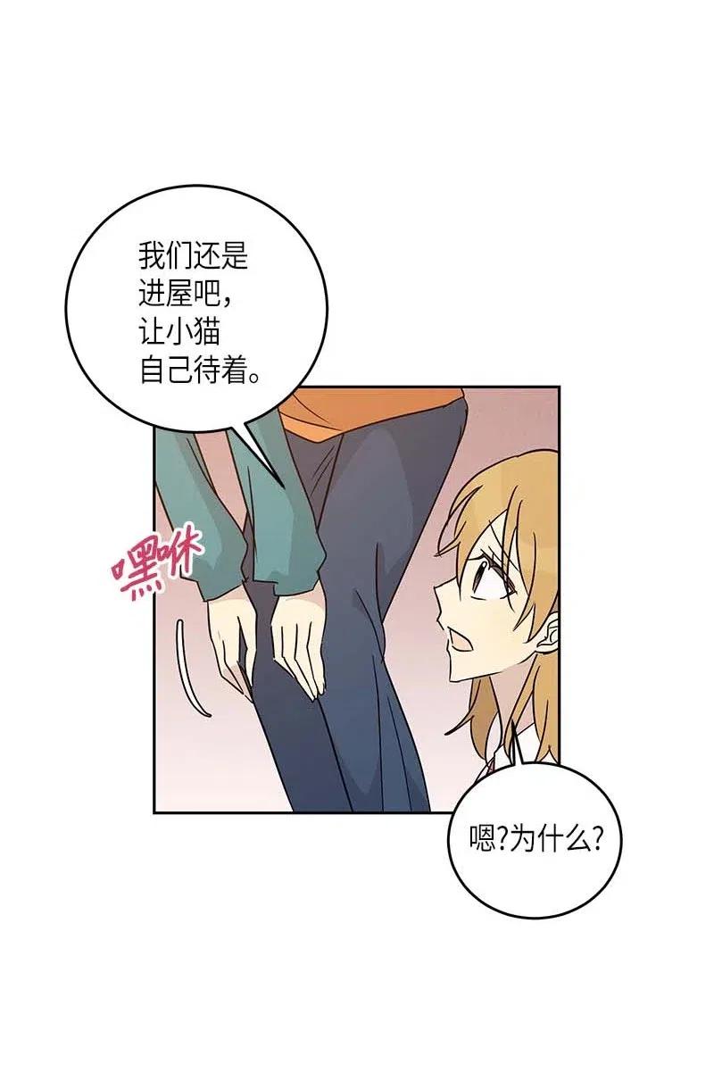 52 添新成员4