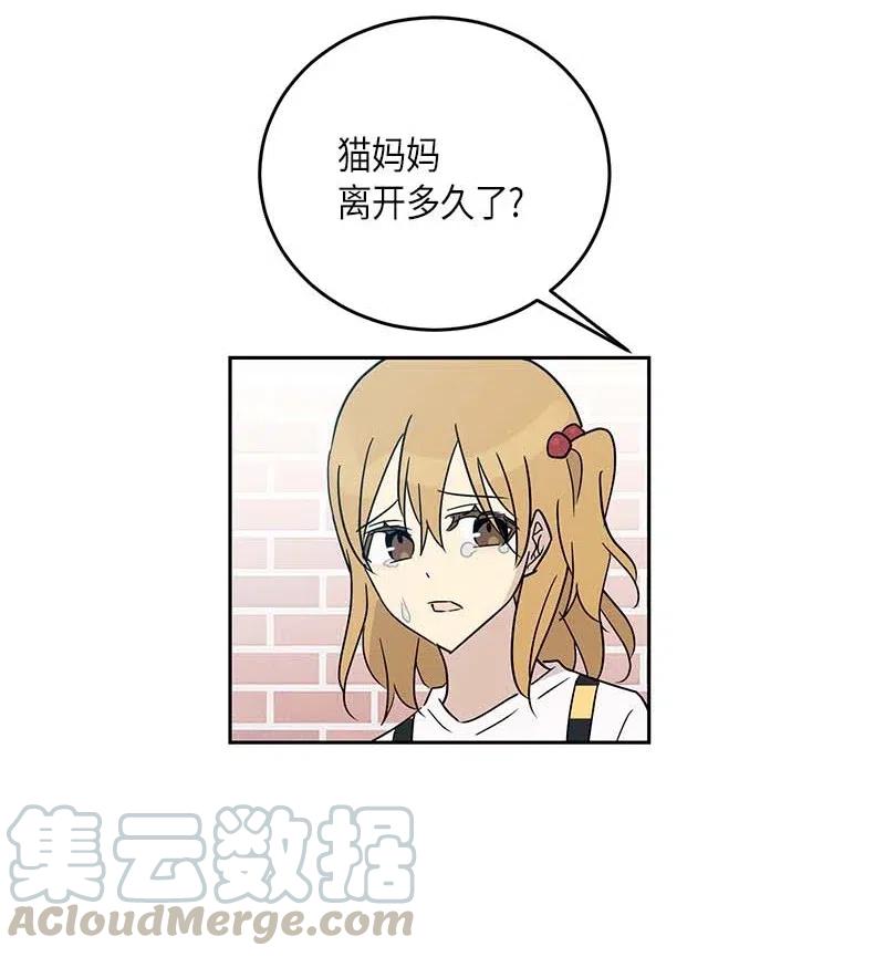 52 添新成员42