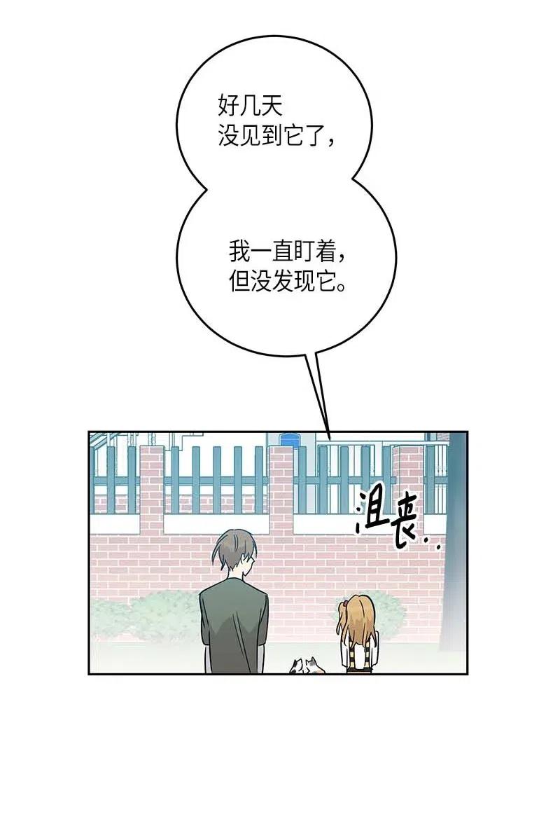 52 添新成员43