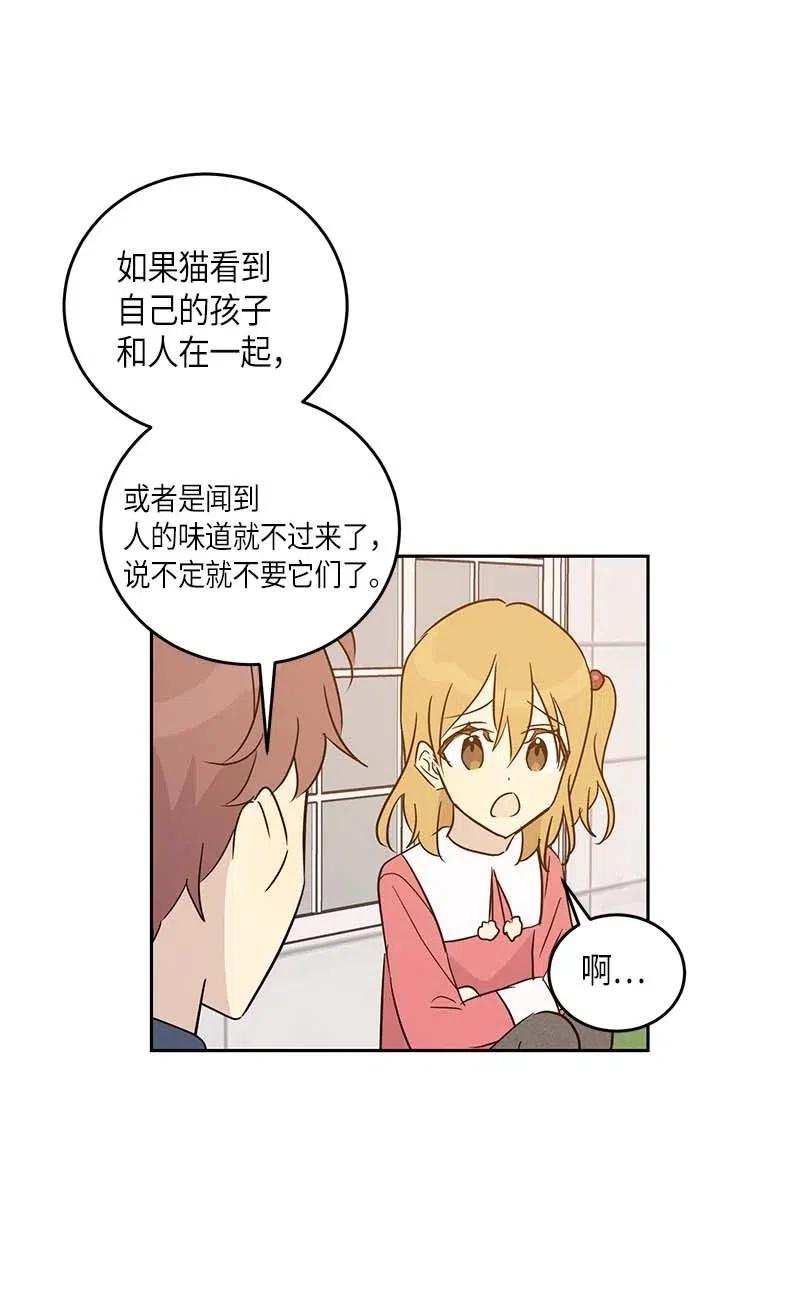 52 添新成员5