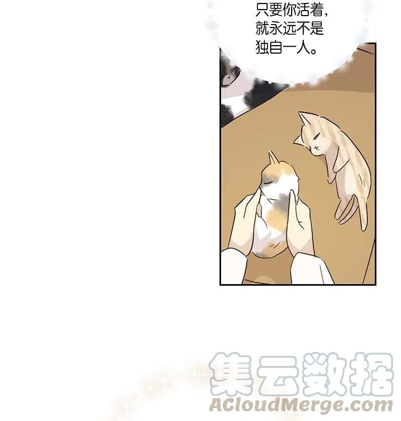 52 添新成员55