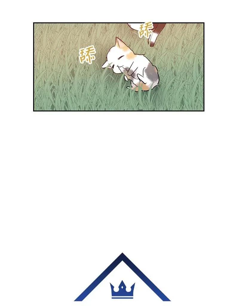 52 添新成员7