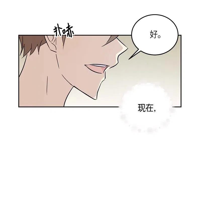 52 添新成员72