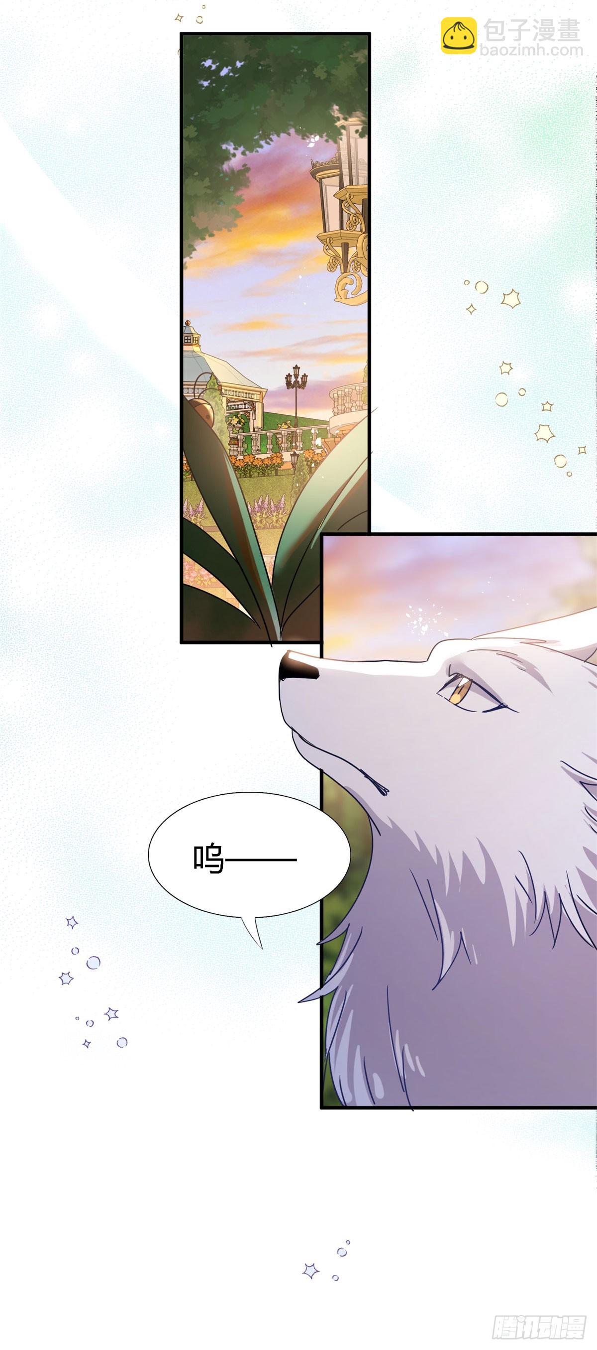 第130话 圣女的秘密（下）8