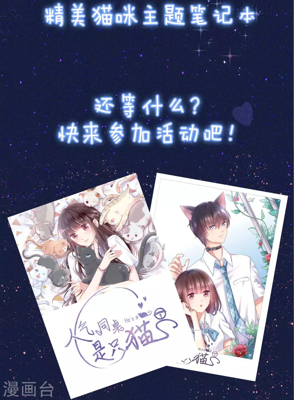 活动公告 猫咪主题笔记本大派送！1