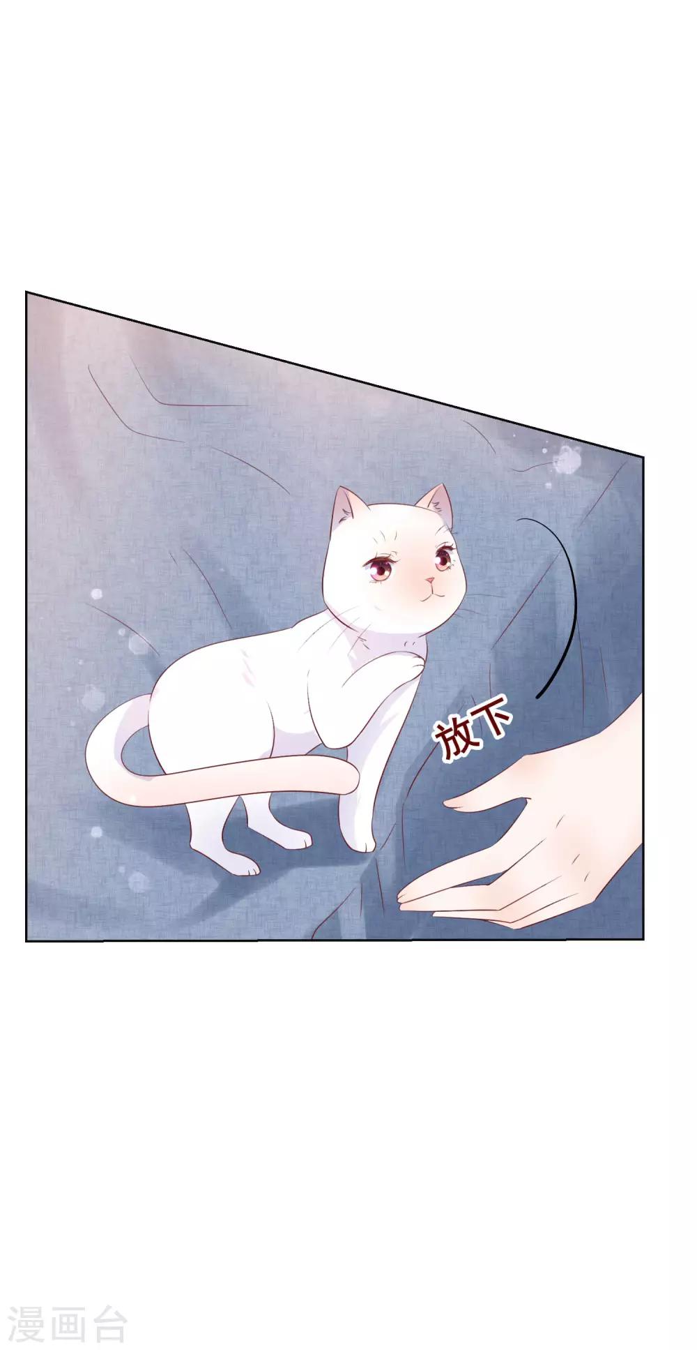 第135话 今天住在男神家10