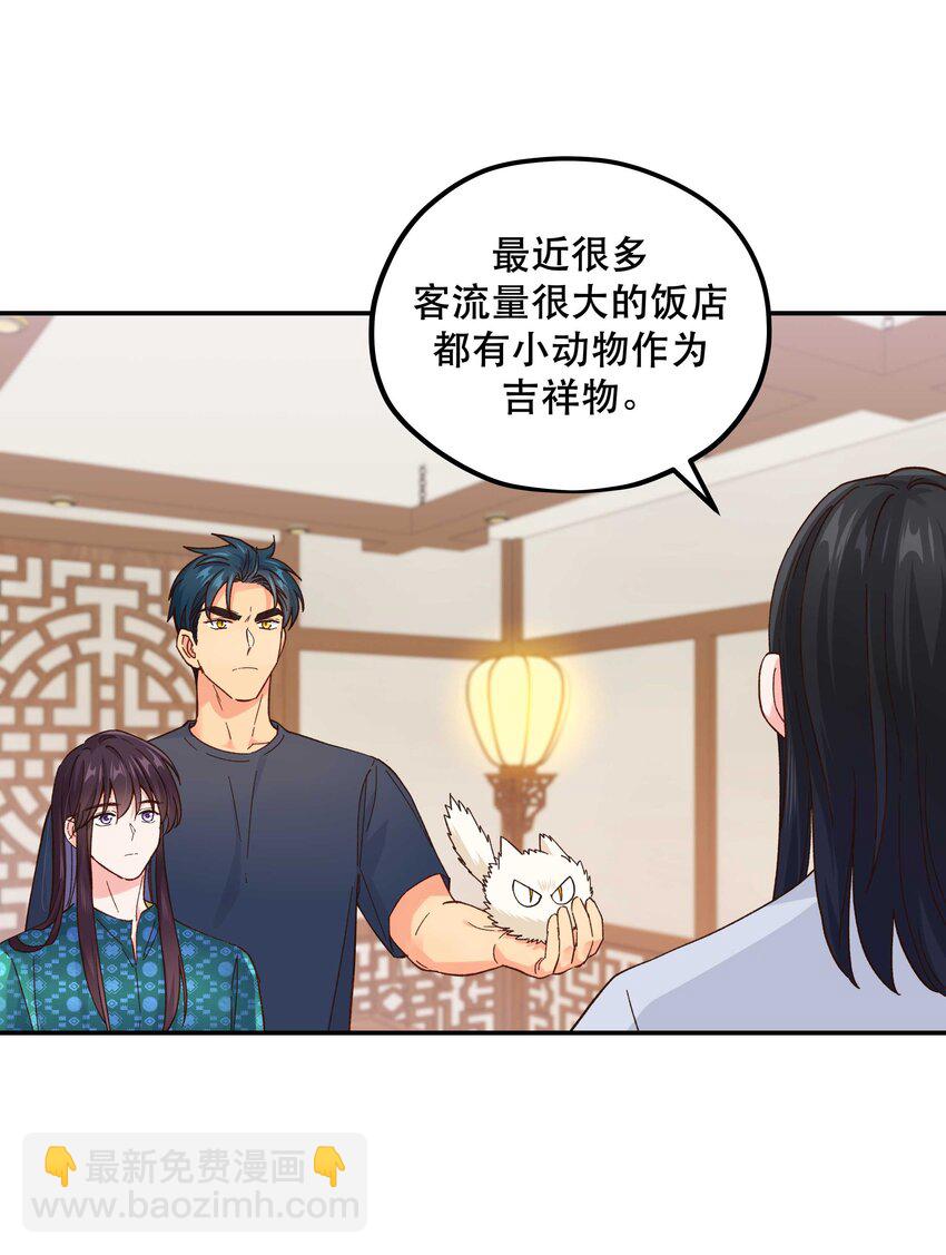 120 小~猫~咪~25