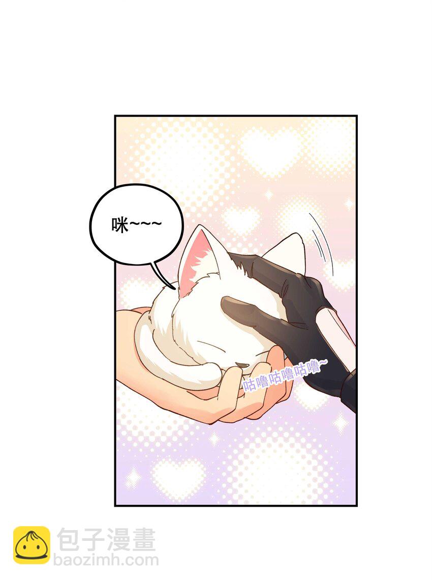120 小~猫~咪~28