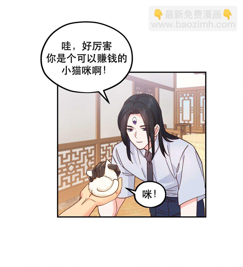 120 小~猫~咪~29