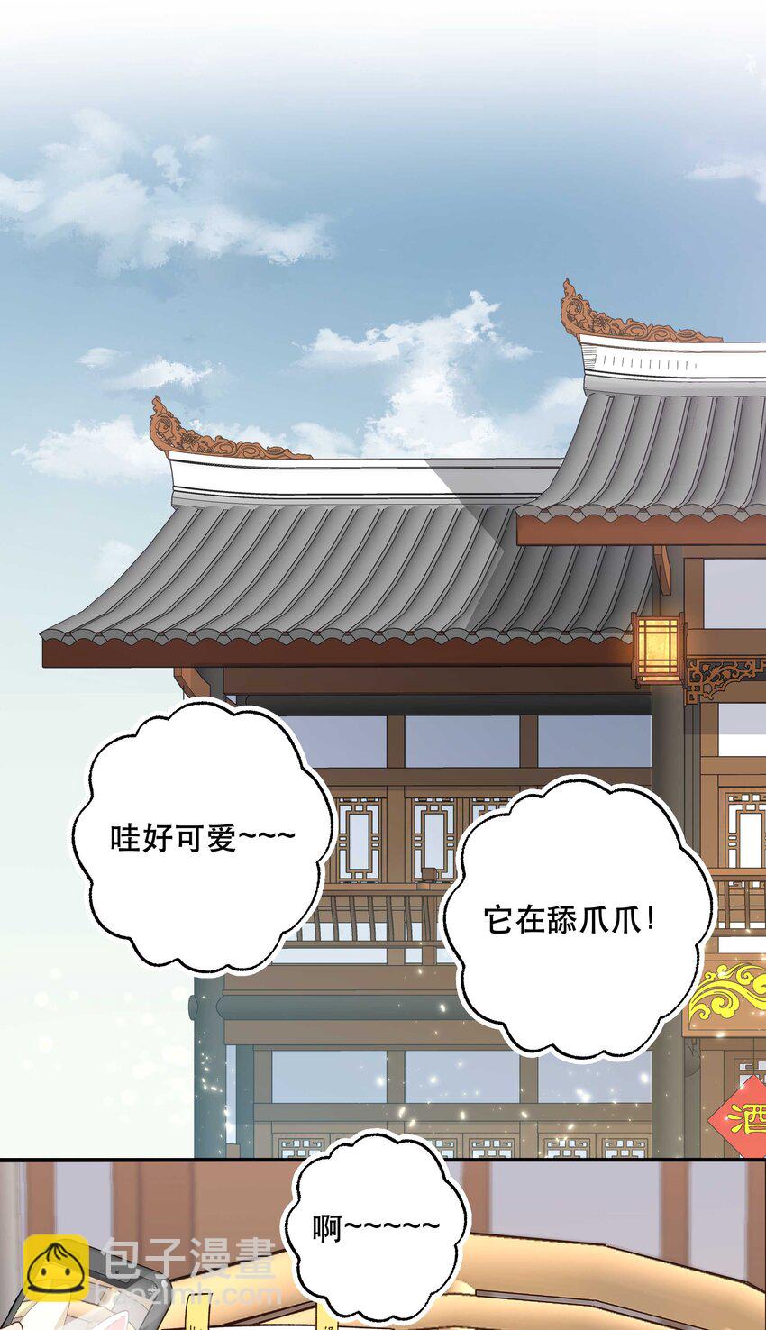 120 小~猫~咪~33
