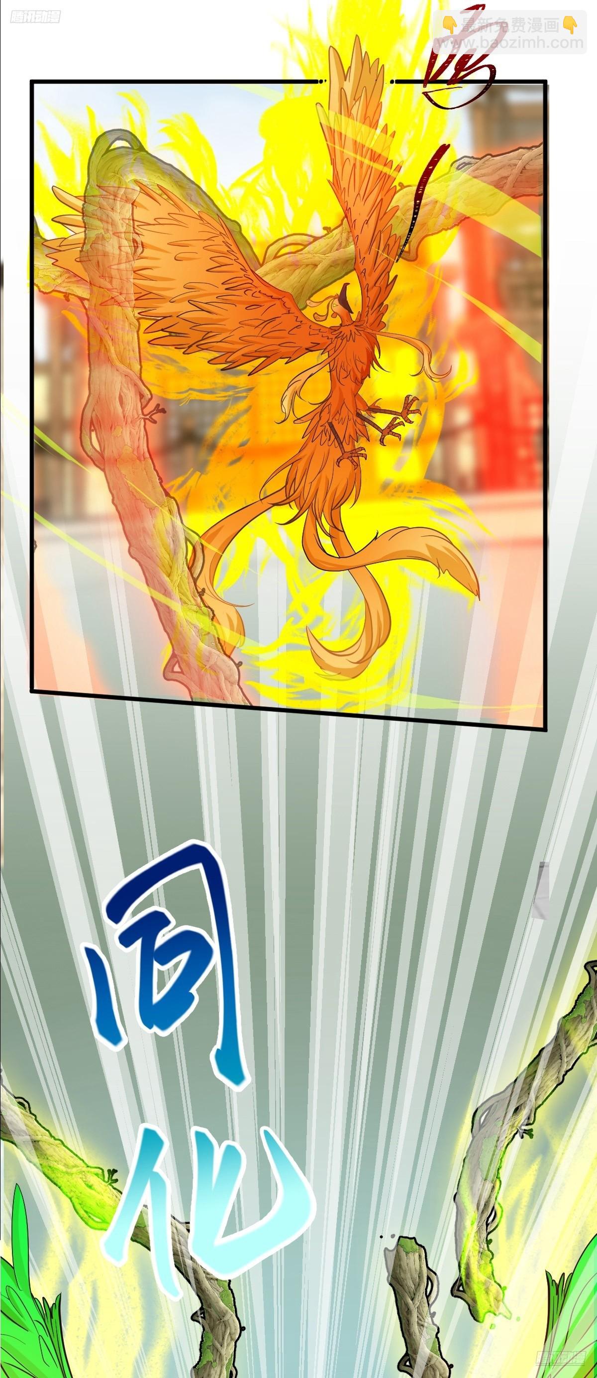 162 五行功法5