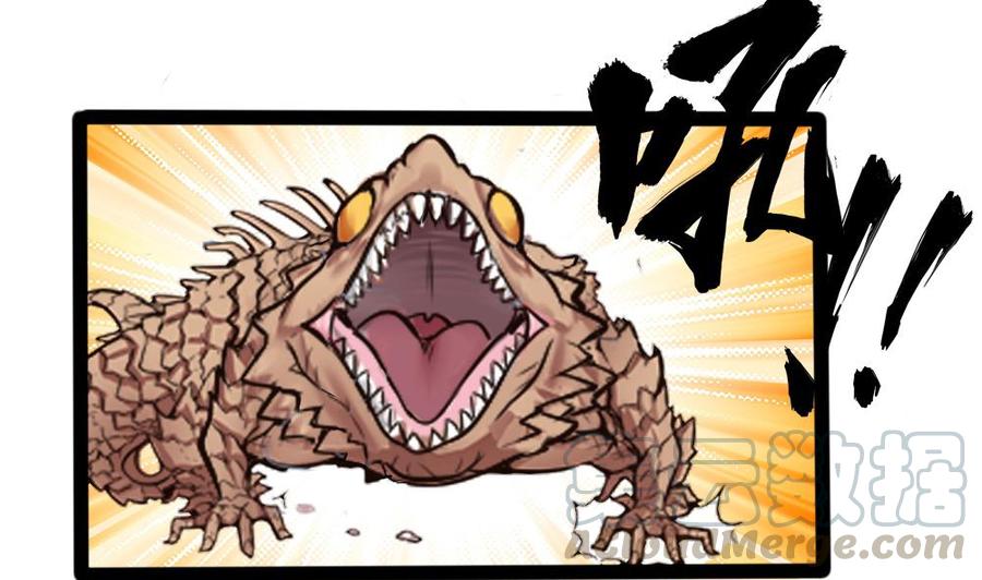 第144话 杜鹏的计划7