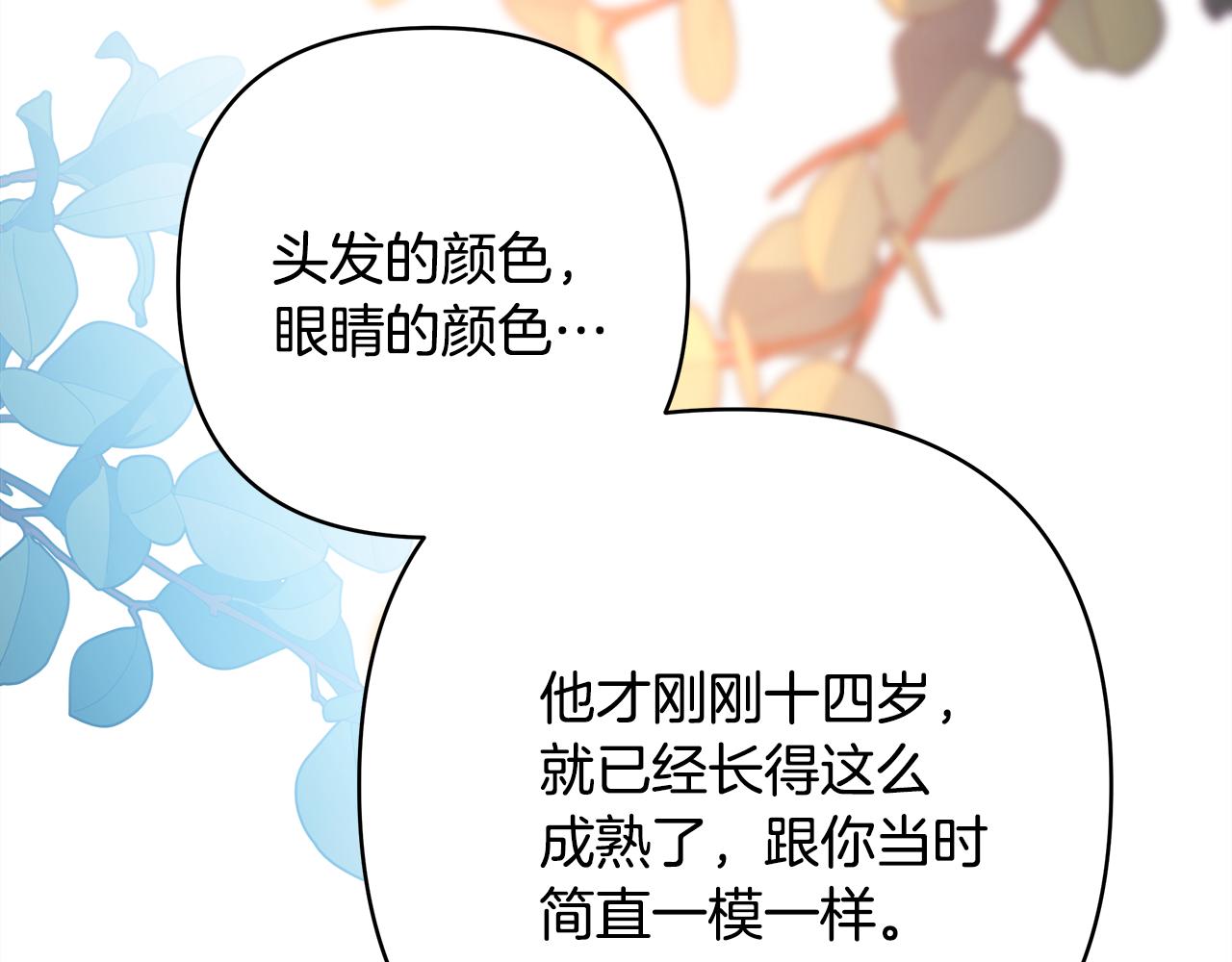 番外二 希维亚与卡利普斯（佩鲁斯父母）下162