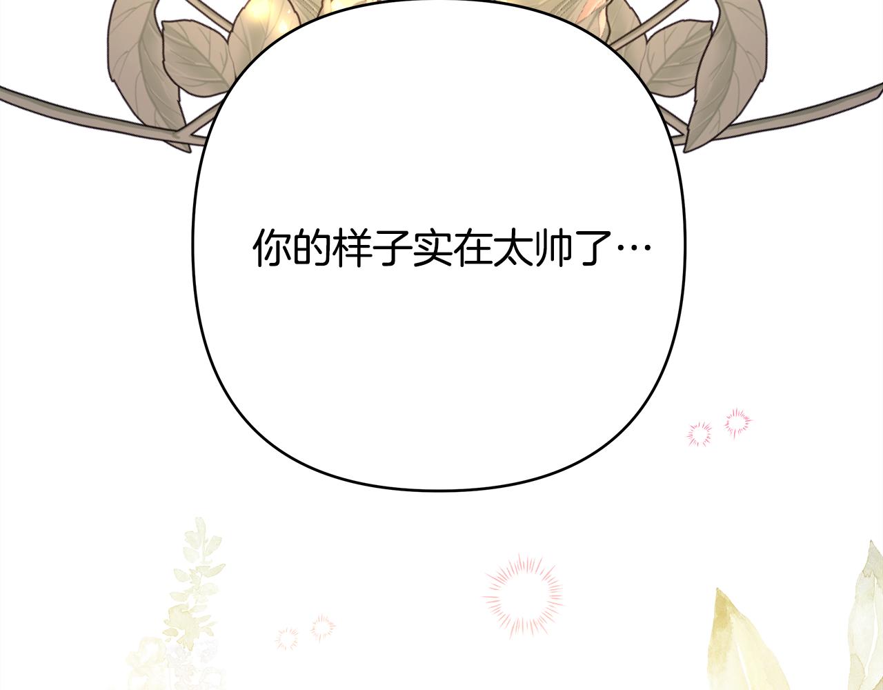 番外二 希维亚与卡利普斯（佩鲁斯父母）下66