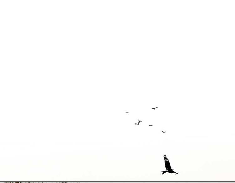 第85话 花将军的疮88