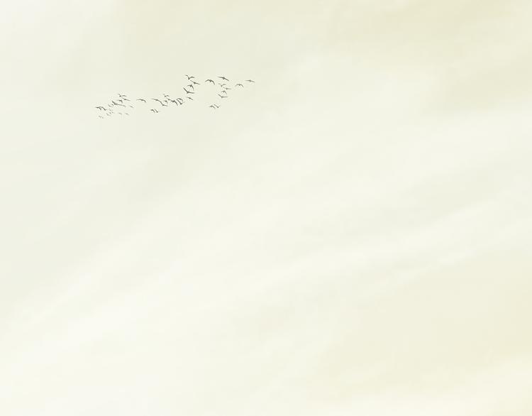 第144话 大夫人（下）131