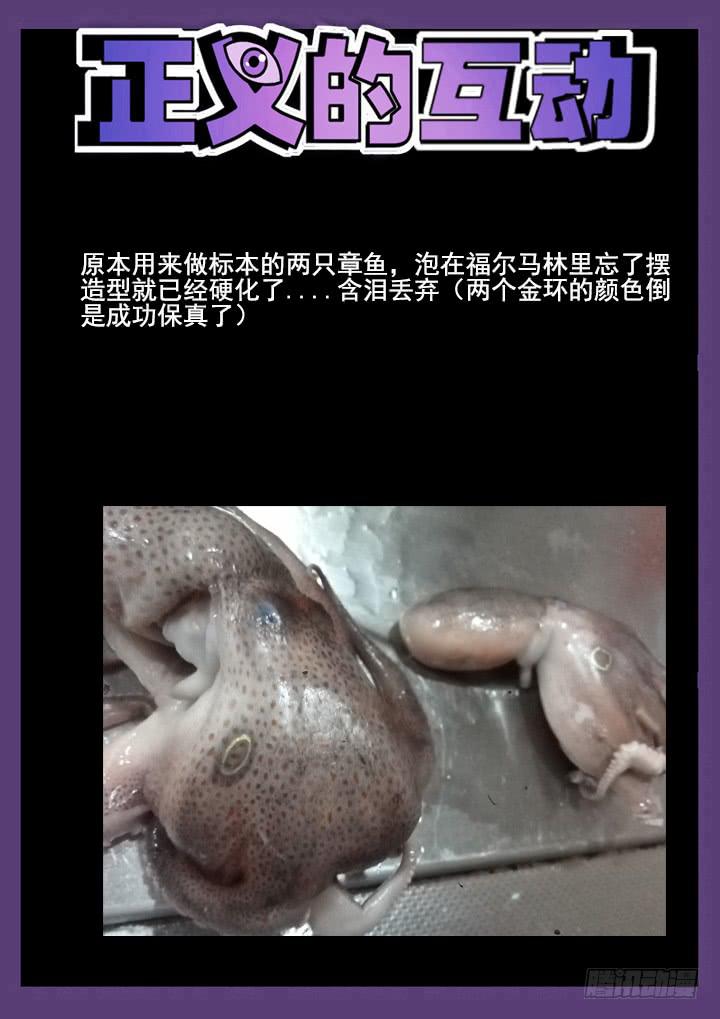 18眼 证据之犬10