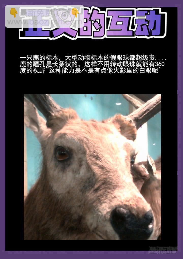 33眼 两男一书，共处密室11