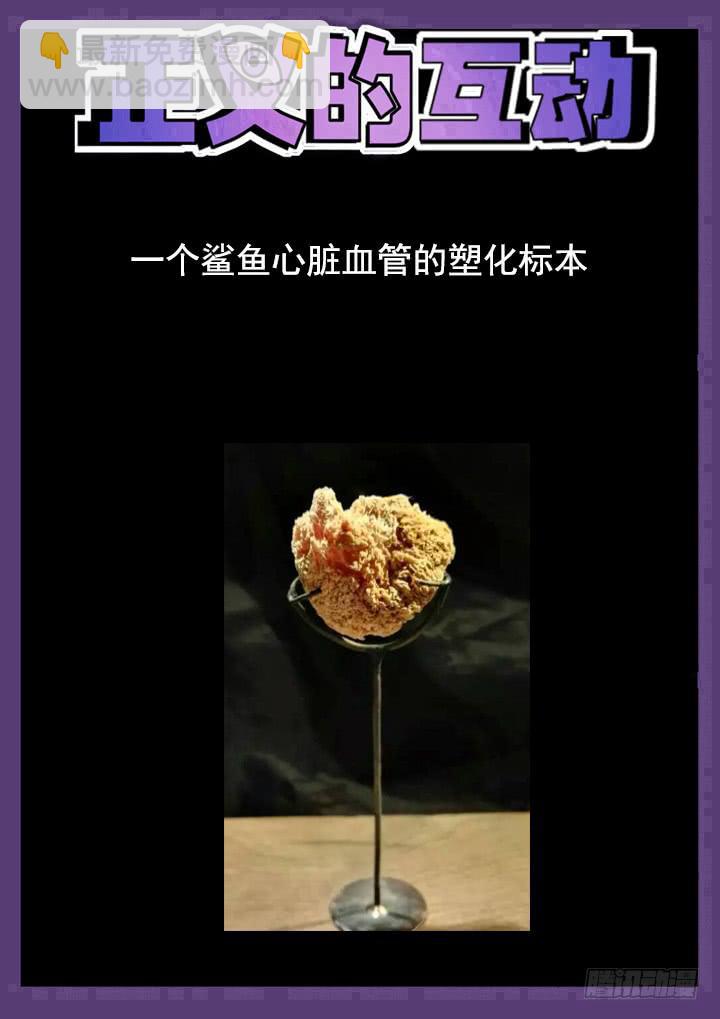 75眼 往事沉入海底12