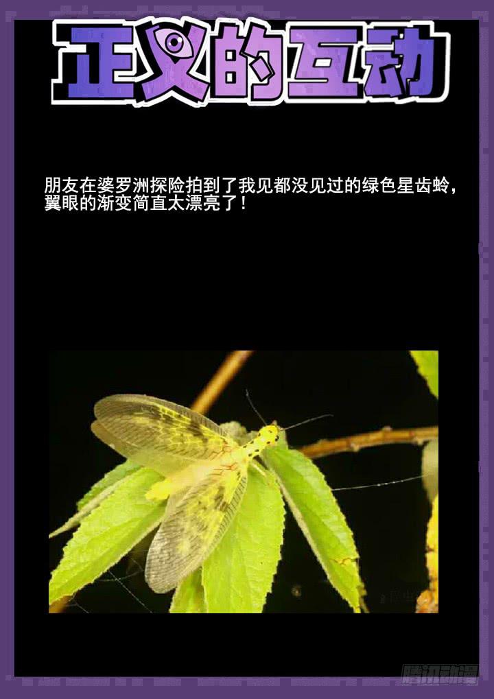 102眼 绝望的复仇11