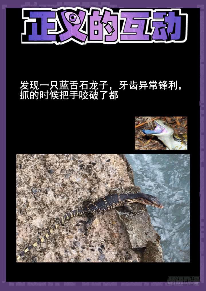 115眼 搅局11