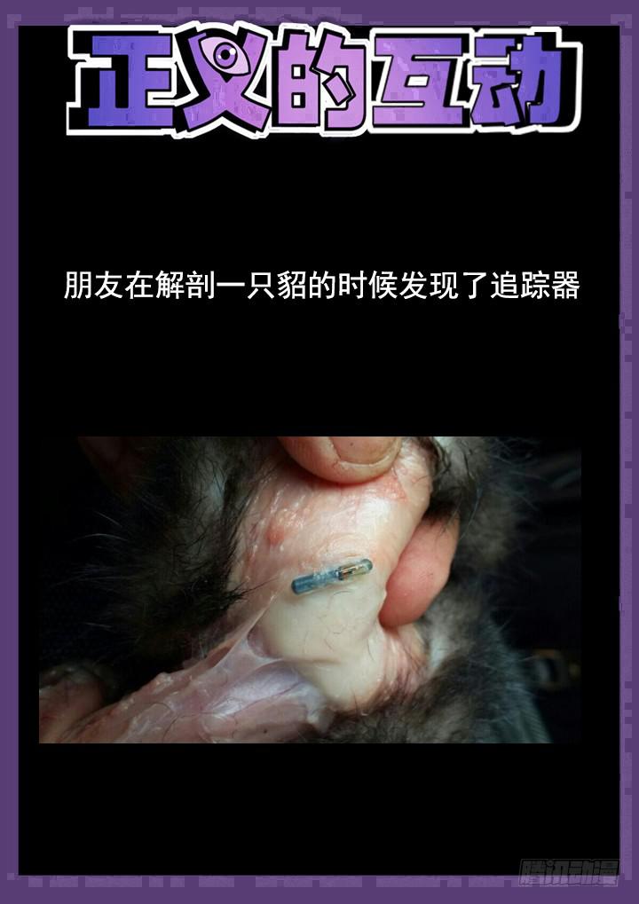 116眼 黄雀在后11