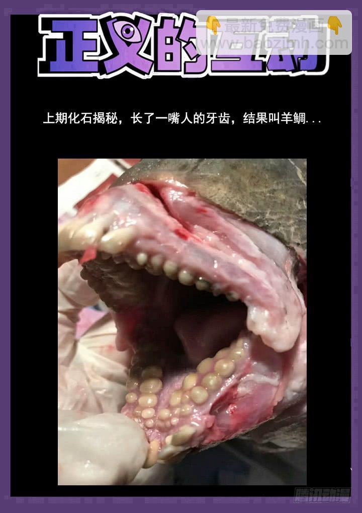 152眼 遇见彩骨散13