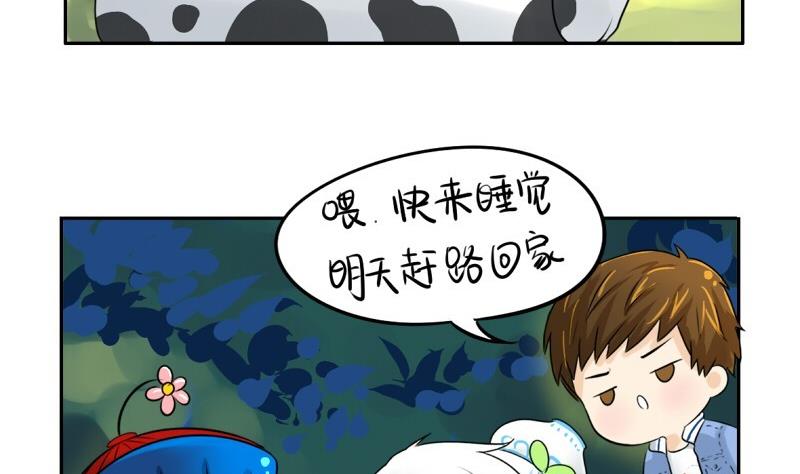 第11话6
