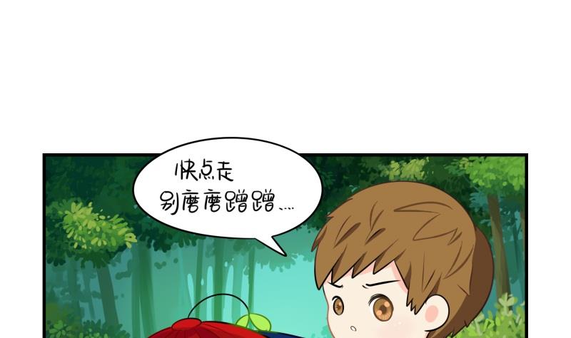 第14话 小老虎登场！13