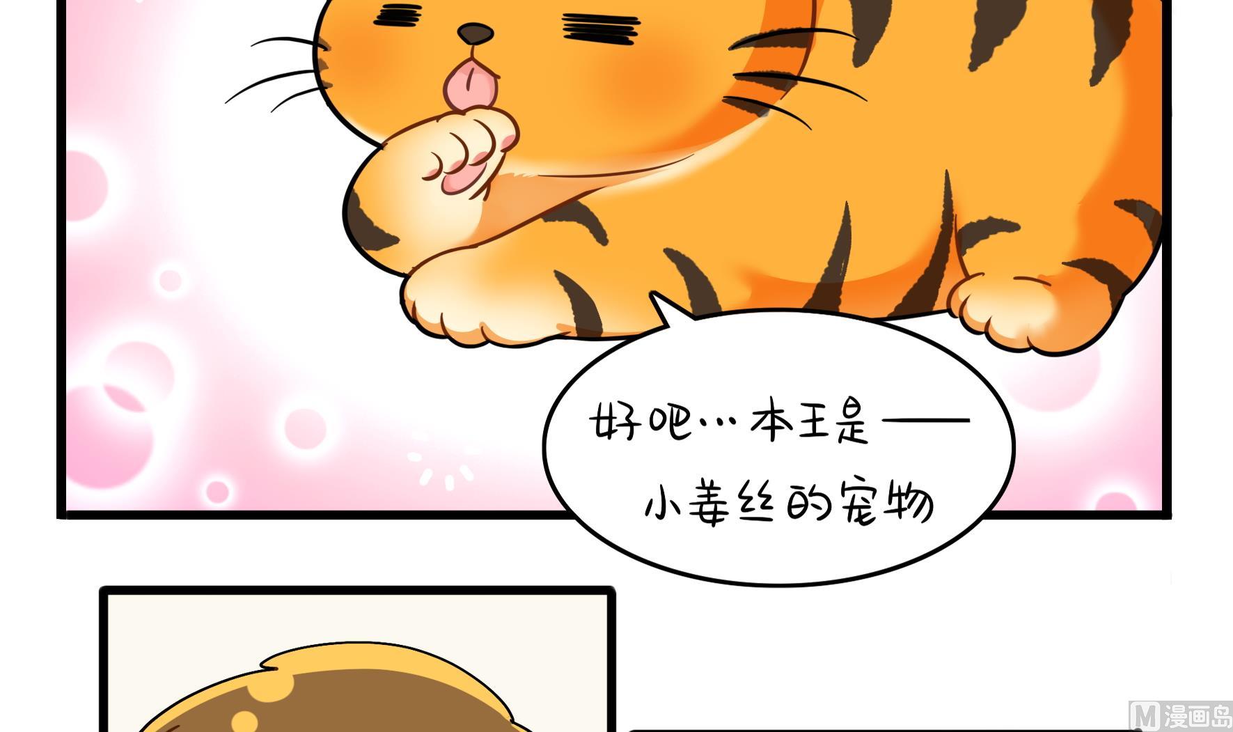 第16话 小姜丝的宠物5