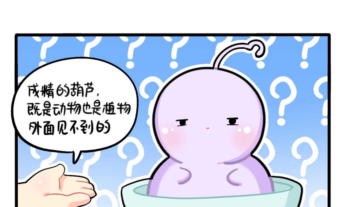 我有特殊的旅游技巧12