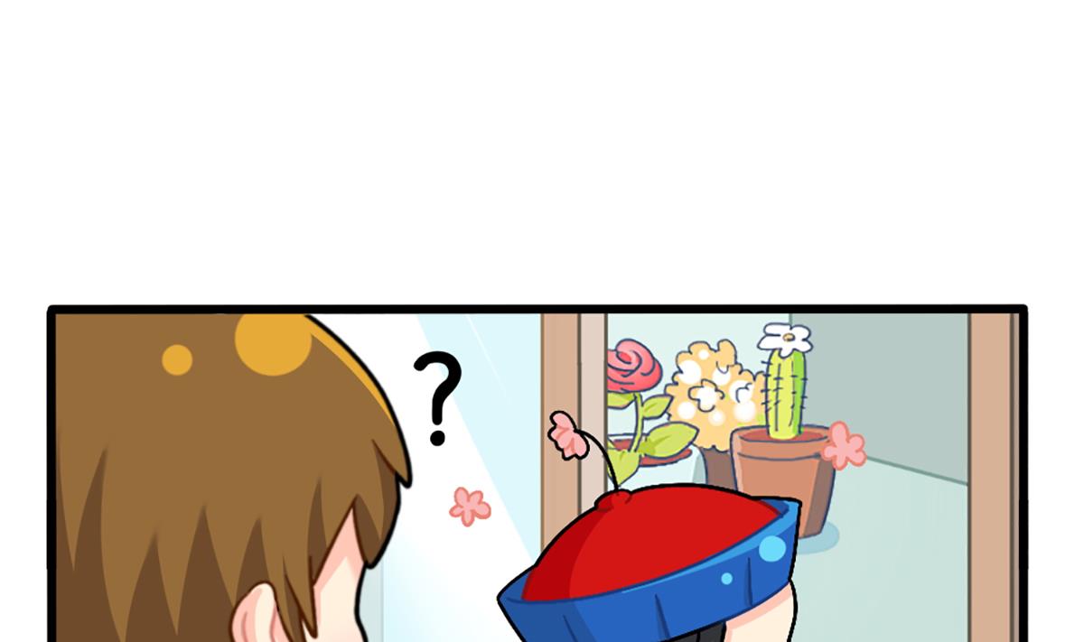 生姜晒干会变成小姜丝吗？6