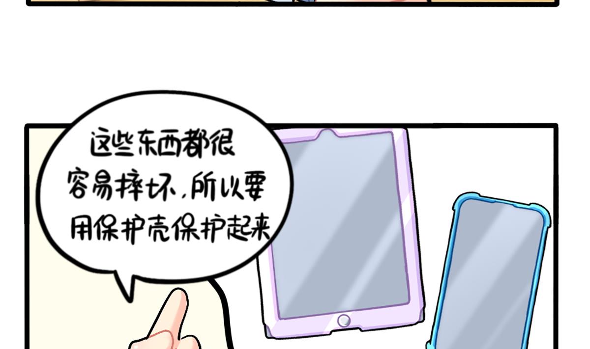 小姜丝的保护壳10