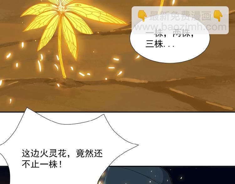 第20话 火灵花的守护妖兽96