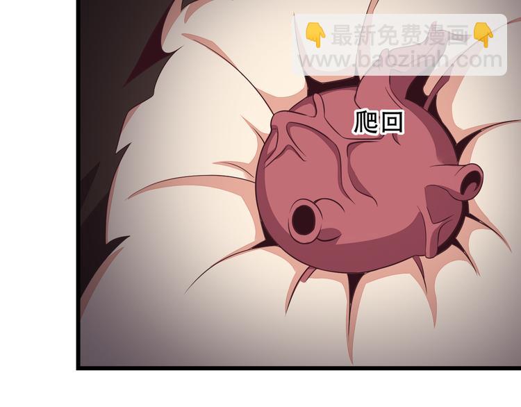 第51话 完美破境丹37