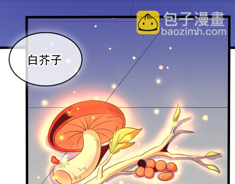 第51话 完美破境丹81