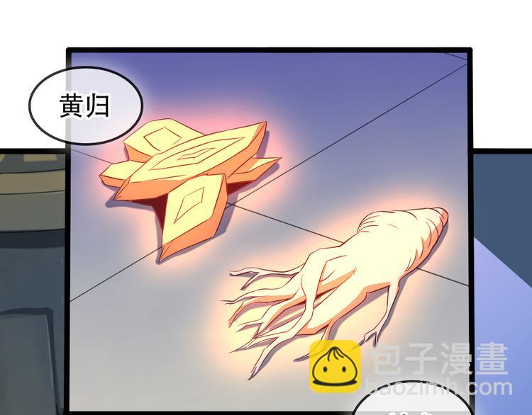 第51话 完美破境丹83