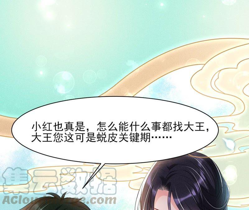 你究竟有几个好妹妹67